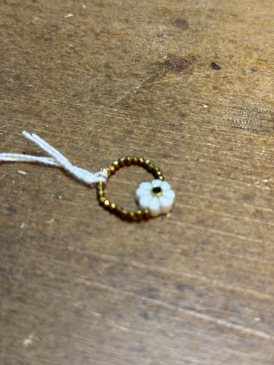 Collection Flower Nacre