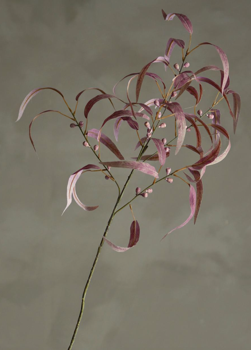 Eucalyptus Tige, Rouge, Fleurs artificielles