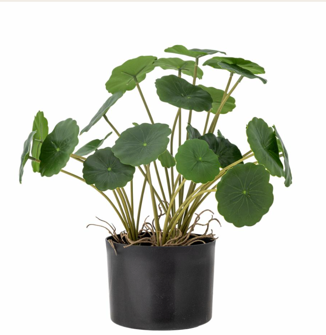 Copper Plante, Verte, Fleurs artificielles