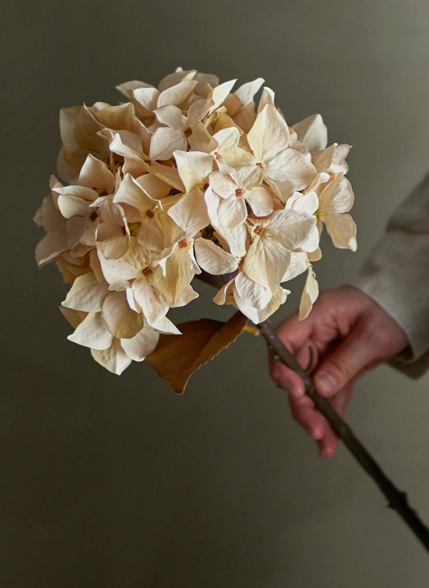 Hydrangea Tige, Nature, Fleurs artificielles