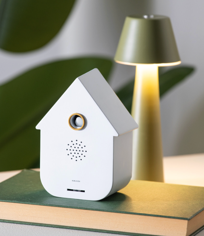 Boîte à sons Coucou moderne