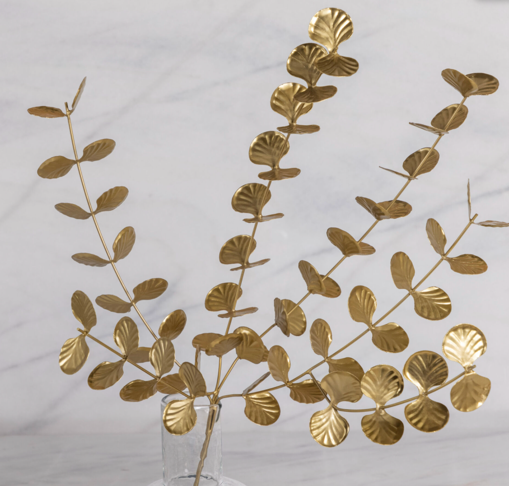 Fleur sur tige, Eucalyptus