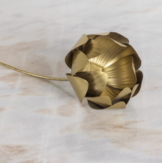 Fleur sur tige, Pivoine