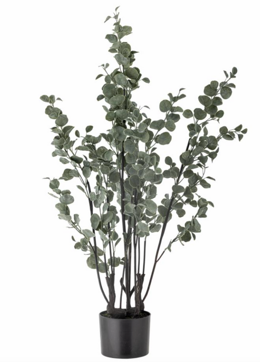 Eucalyptus Plante, Verte, Fleurs artificielles
