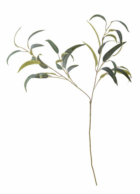 Eucalyptus Tige, Verte, Fleurs artificielles