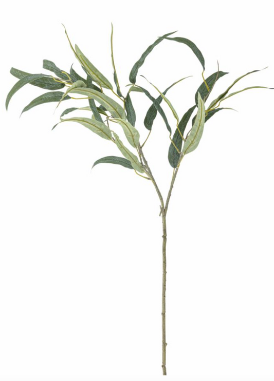 Eucalyptus Tige, Verte, Fleurs artificielles