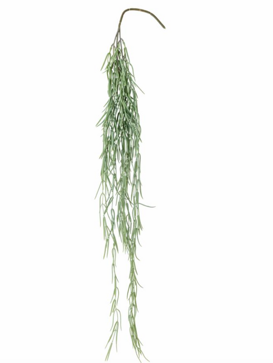 Tilandsia Plante, Verte, Fleurs artificielles