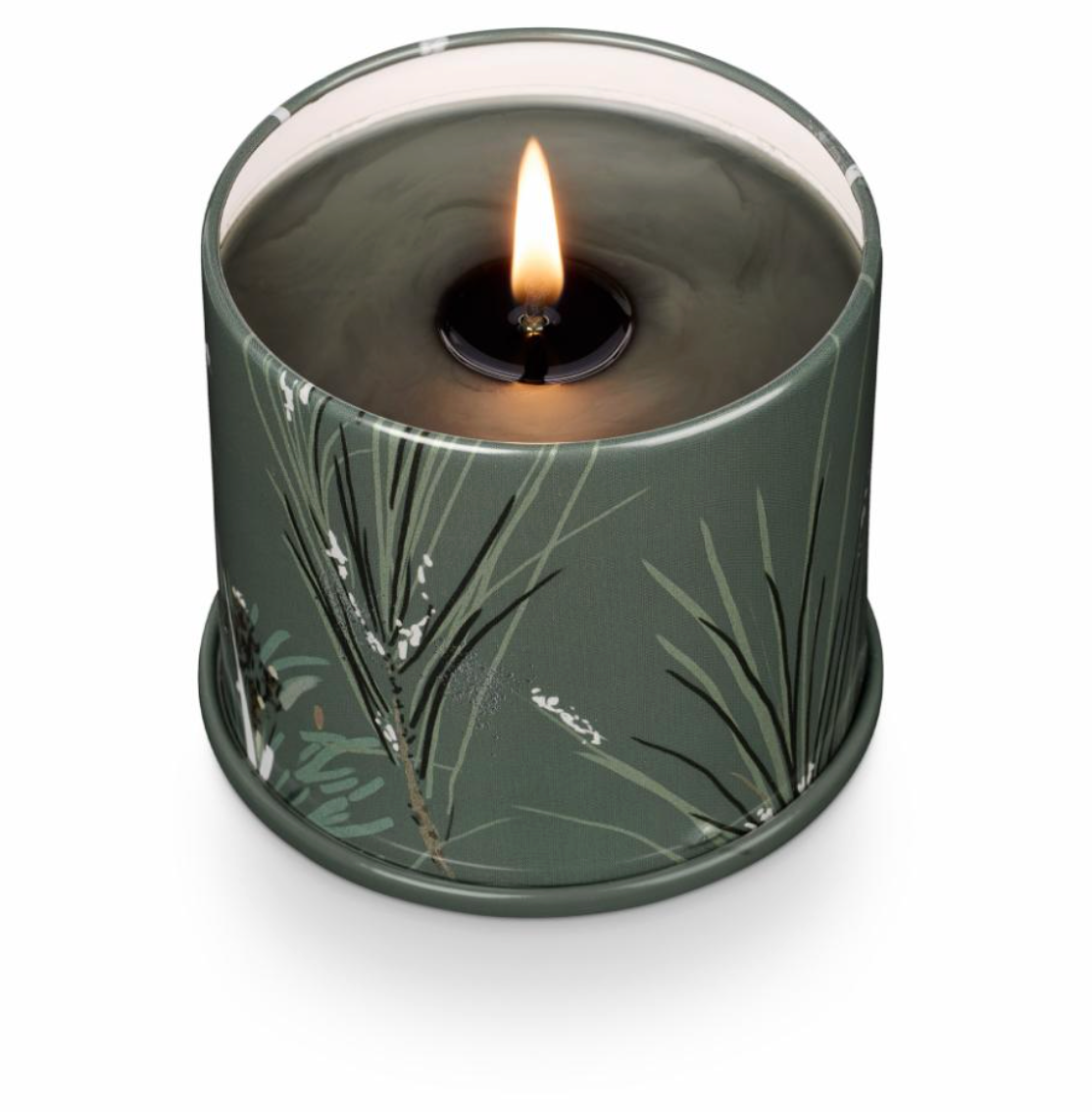 Balsam & Cedar Vanity Tin Bougie, Verte,