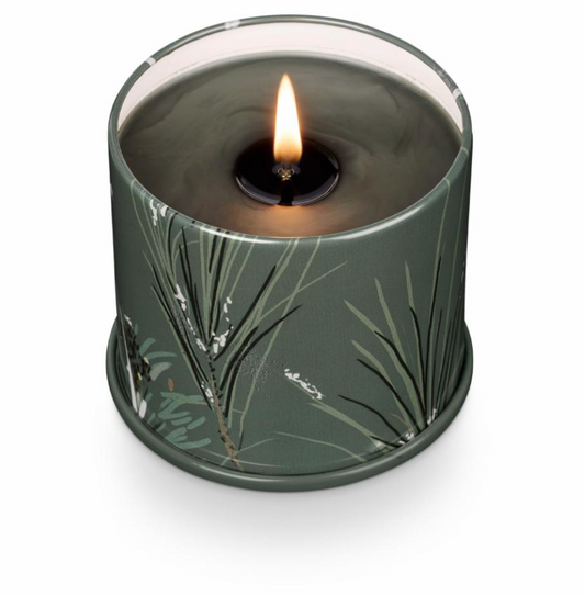 Balsam & Cedar Vanity Tin Bougie, Verte,