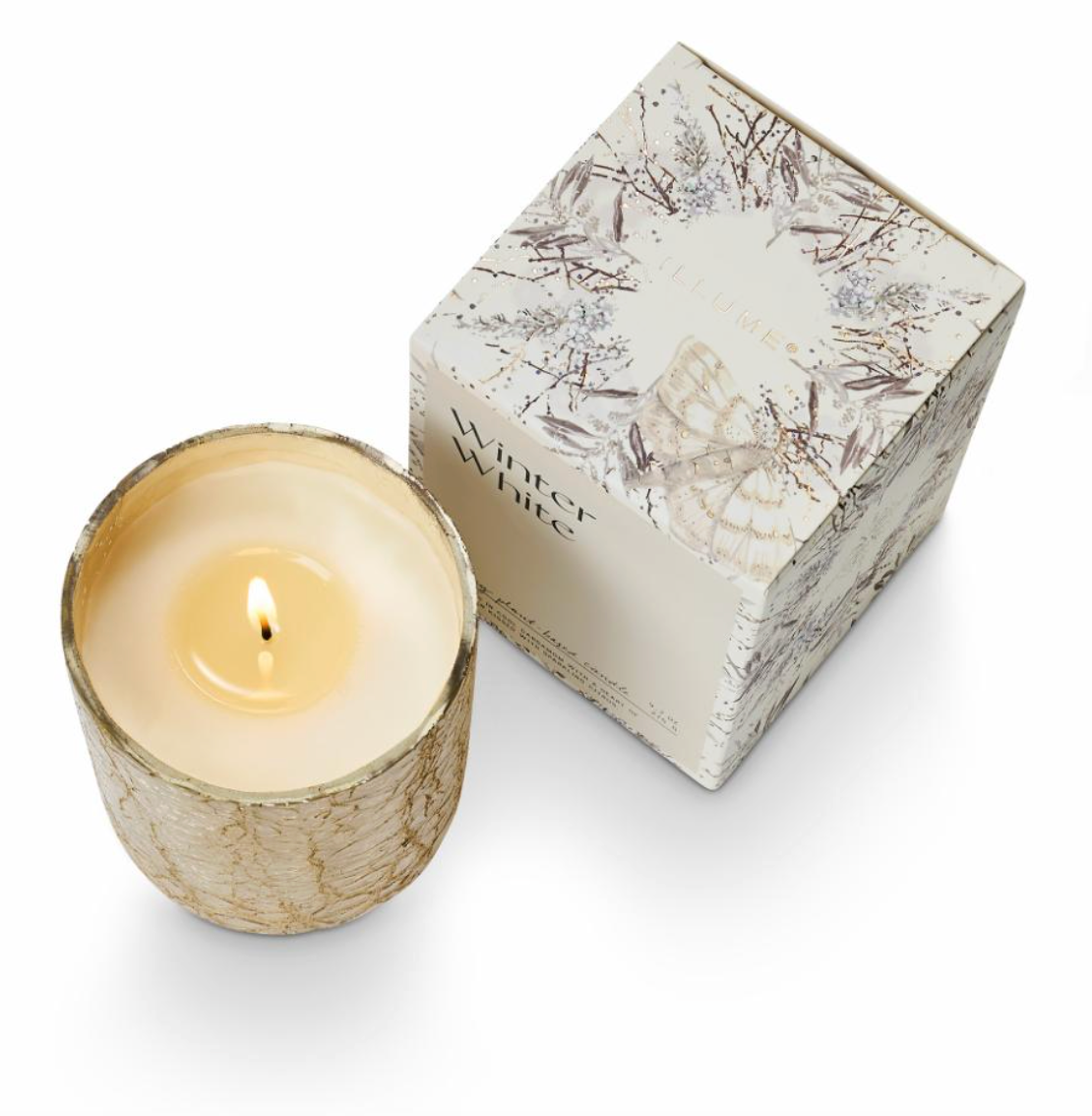 Winter White Crackle Verre Bougie, Blanc,