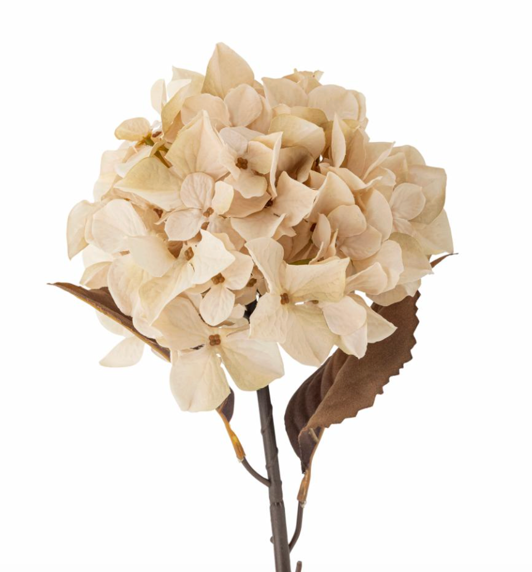 Hydrangea Tige, Nature, Fleurs artificielles