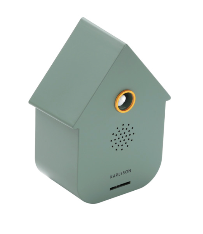 Boîte à sons Coucou moderne