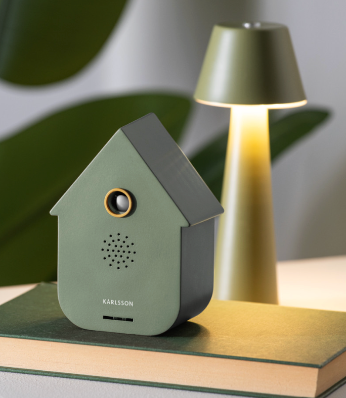 Boîte à sons Coucou moderne