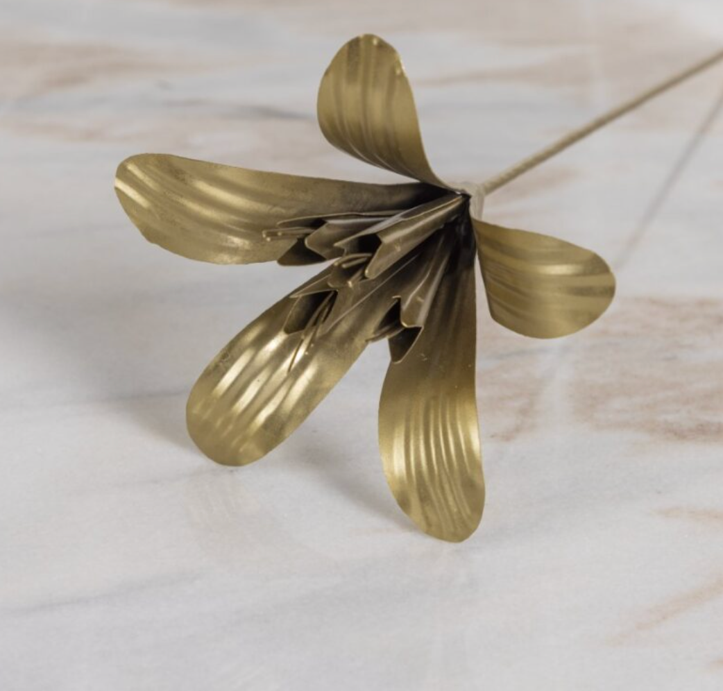 Fleur sur tige, Lys