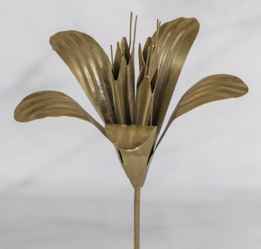 Fleur sur tige, Lys