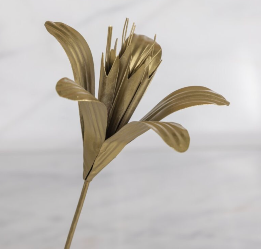 Fleur sur tige, Lys