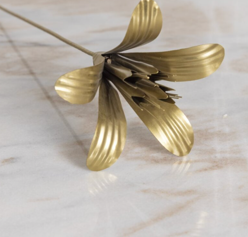 Fleur sur tige, Lys