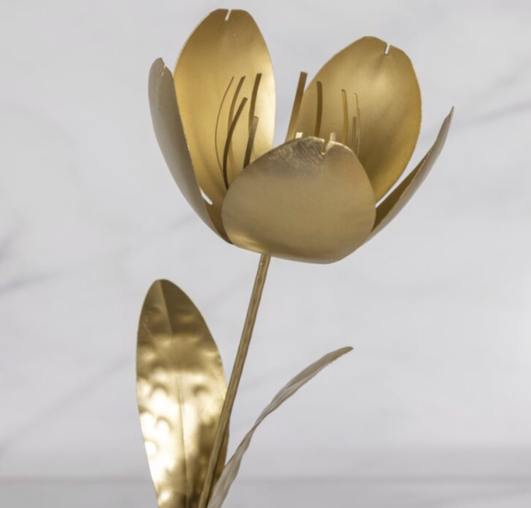 Fleur sur tige, Tulipe