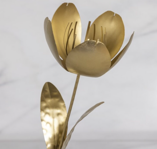 Fleur sur tige, Tulipe