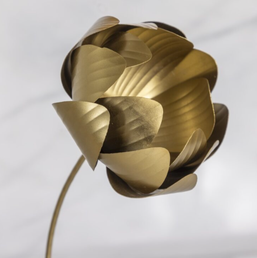 Fleur sur tige, Pivoine