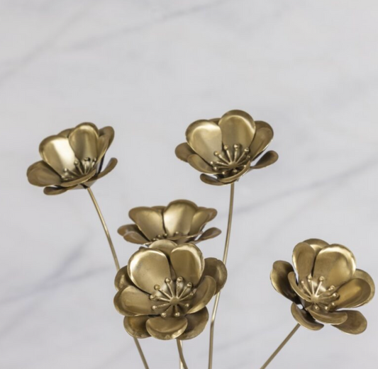 Fleur sur tige, Coquelicots